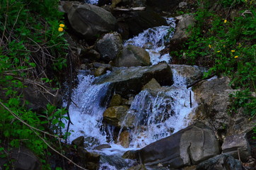 beautiful waterfall with clear water on a mountain stream in the forest