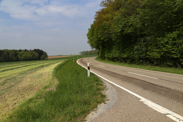 Spring landscape with asphalt road in the foreground