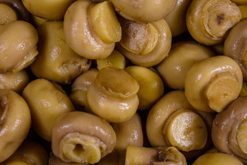 Texture of the canned mushrooms for the background