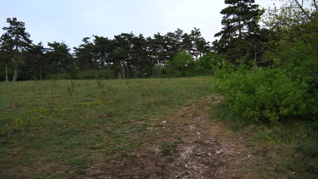 Panning view of Zobor forest steppe border, Nitra, western Slovakia
