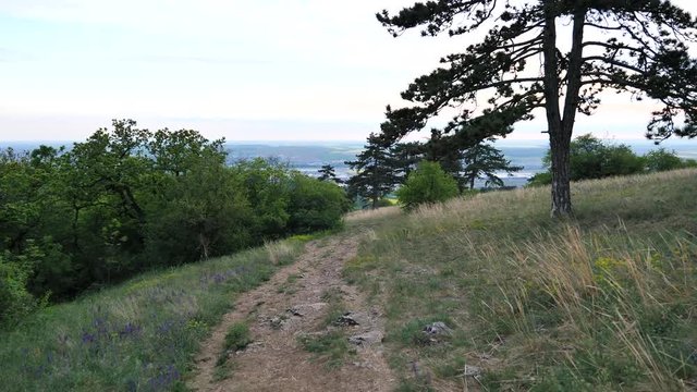 Walking on pathway on border of Zobor forest steppe during spring