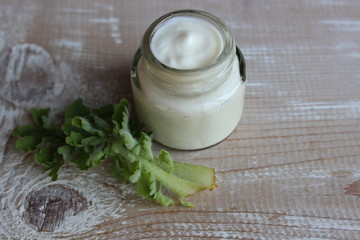 Obraz na płótnie Canvas Organic face cream with sprig of celandine