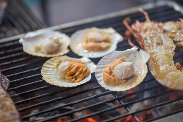 Scallop grilled on the stove.