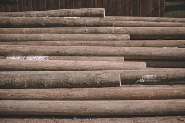 Cut trees, log cabins, logs lie a bunch along the road