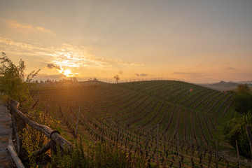Fototapeta na wymiar Backlight, scenic view of the vineyard hills of the Langhe region in Piedmont, become Unesco World Heritage Site in 2014, at sunset with lens flare in springtime, Grinzane Cavour, Italy