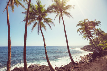 Hawaiian beach