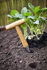 Small augur for making holes in the earth