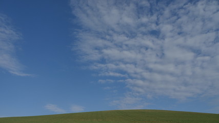 green field and blue sky