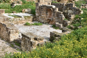 Ancient Tile Mosaic Floor, Tyre Archaeological Site, Lebanon