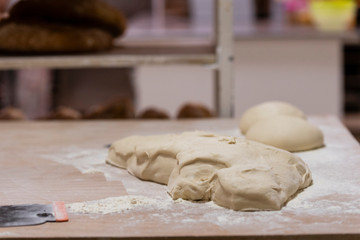 masa madre