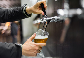 bartender hand at beer tap pouring a draught beer in glass serving in a restaurant or pub