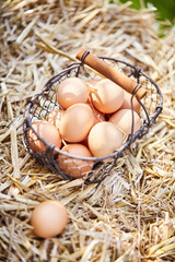Small wire basket filled with fresh brown eggs