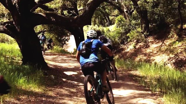 Group racing down hill on mountain bikes under a tree lined trail.