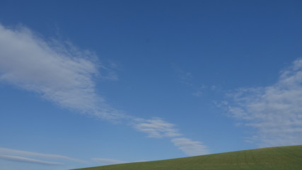 green field and blue sky