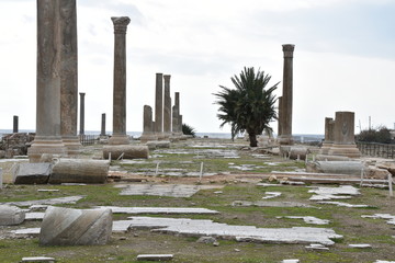 Fototapeta premium Mediterranean Seaside Colonnade Ruins, Tyre, Lebanon