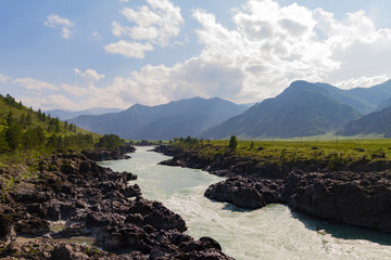 Fototapeta na wymiar Turquoise Katun. River stream in Altai mointain. Sunny summer day. Can used for promotion, ad, greeting card, invitation, poster, article, wallpaper, web page background.