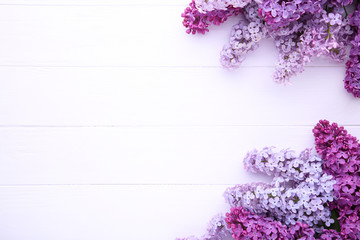Lilac flowers branch on white background with sample text