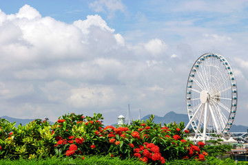 City under the blue sky white cloud ferris wheel