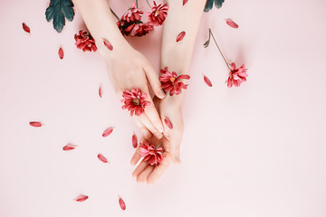 Creative composition. Beautiful female hand with purpure flowers on pink background. Cosmetics for hands anti wrinkle.Top view, copy space