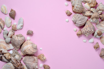 Creative flat lay concept of summer travel vacations. Top view of various kinds seashells on pink background. Copy space in minimal style, template for text