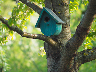 Vogelhaus Nistplatz Nistkasten