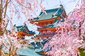 Naklejka premium 京都の桜 日本の神社、庭園