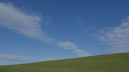 green field and blue sky