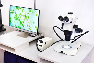 Research stereo microscope with monitor