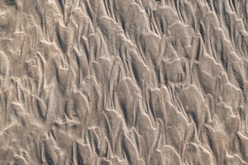 Ocean coast sand under the tide