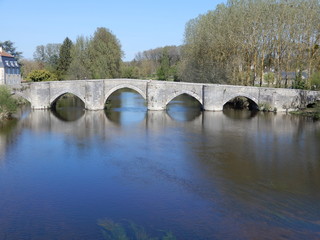 Fototapeta na wymiar Vieux pont de Saint-Savin, Vienne, Poitou, France
