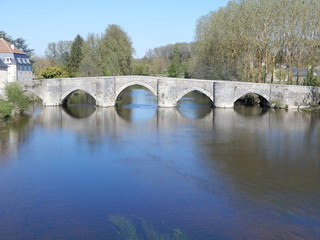 Fototapeta na wymiar Vieux pont de Saint-Savin, Vienne, Poitou, France