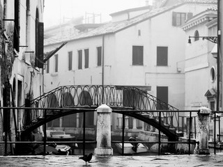 Venice in black and white