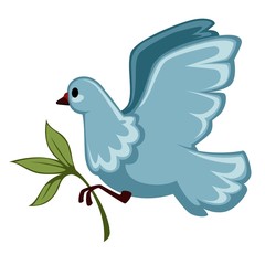 White dove or pigeon with olive branch isolated bird