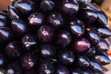 Fresh eggplant on market counter