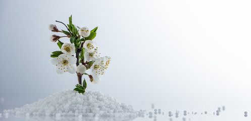 Flower growing from mineral fertilizers. Concept Close up