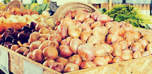  bulb onion on market counter