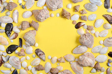 Summer composition.Flat lay, top view of various kinds seashells on yellow background. Copy space in minimal style, template for text. Vacation concept