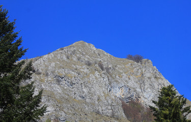 panorama with rocks and trees