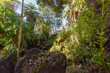 natural scenery on the azores