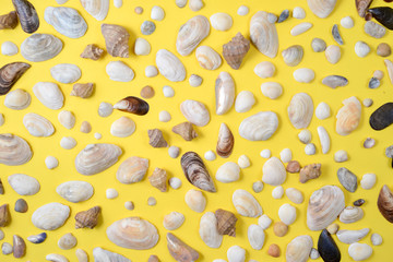 Creative various seashell pattern on pastel yellow background. Summer vacation concept. Marine background