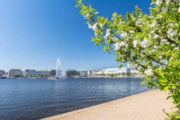 Fototapete bei efototapeten.de bestellen   