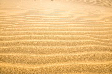 Texture of sand dunes