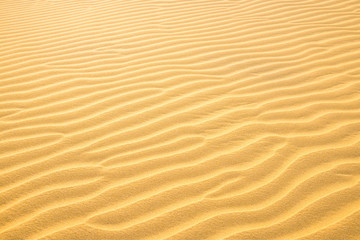 Texture of sand dunes