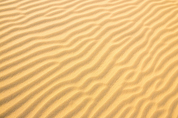 Fototapeta na wymiar Texture of sand dunes