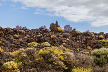Fototapeta na wymiar View of the landscape in Teide National Park