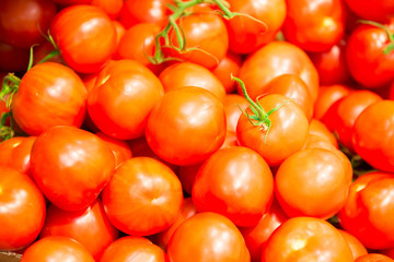 Pile of red tomatoes at vegetable market