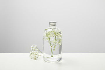 organic beauty product in transparent bottle and white wildflowers on grey background