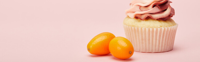 panoramic shot of sweet cupcake with kumquats on pink surface
