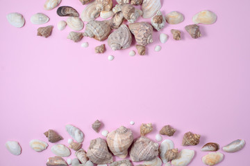 Creative flat lay concept of summer travel vacations. Top view of various kinds seashells on pink background. Copy space in minimal style, template for text