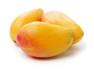 Mango on a white background